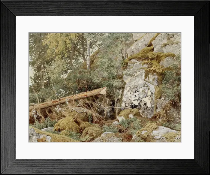 Framed Print : A mossy rock in the forest, 1857. Creator: Werner Holmberg Framed Print : A mossy rock in the forest, 1857. Creator: Werner Holmberg