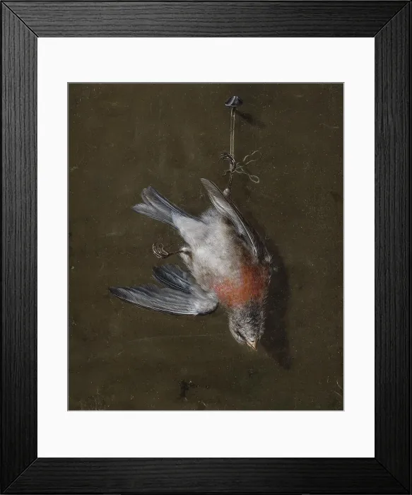 Framed Print : Linnet, 1830-1839. Creator: Wilhelm von Wright Framed Print : Linnet, 1830-1839. Creator: Wilhelm von Wright