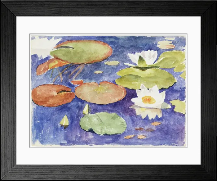 Framed Print : Water lilies in the water. Creator: Maria Wiik Framed Print : Water lilies in the water. Creator: Maria Wiik