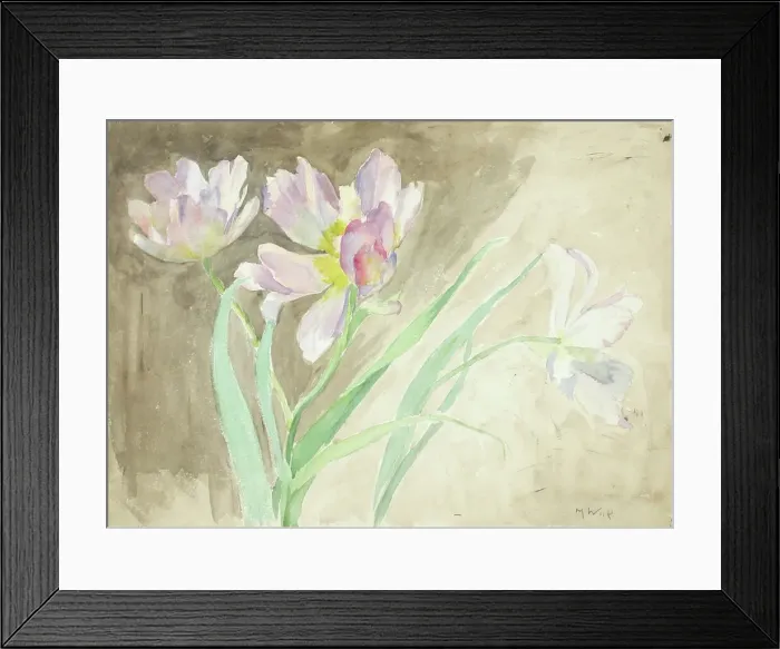 Framed Print : Tulips. Creator: Maria Wiik Framed Print : Tulips. Creator: Maria Wiik
