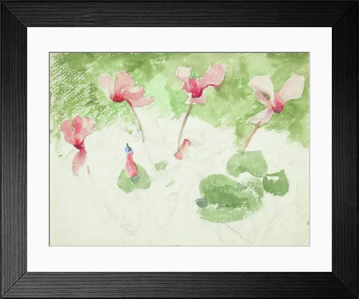 Framed Print : Cyclamen. Creator: Maria Wiik Framed Print : Cyclamen. Creator: Maria Wiik