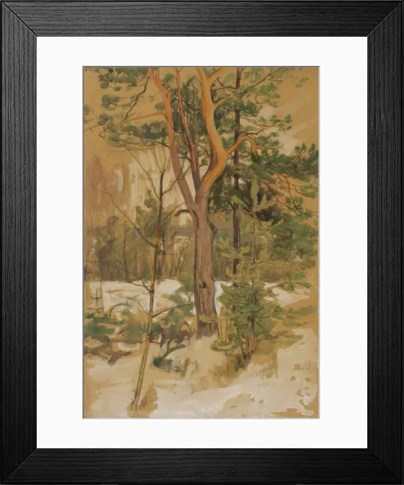Framed Print : Landscape Study, 1894. Creator: Victor Westerholm