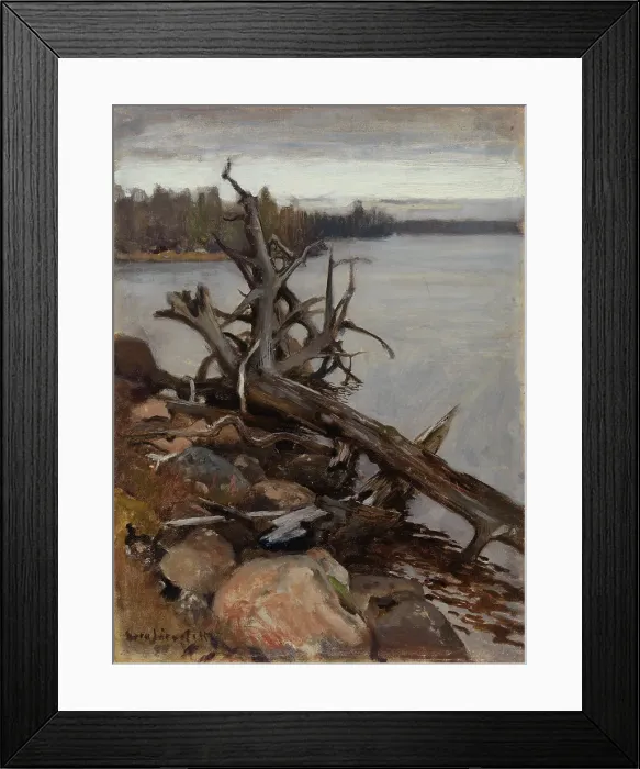 Framed Print : Dead Pine in the Water, 1898. Creator: Eero Jarnefelt Framed Print : Dead Pine in the Water, 1898. Creator: Eero Jarnefelt