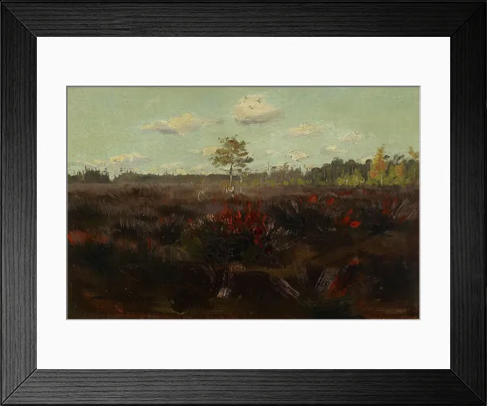 Framed Print : Bog in Lapland, 1892. Creator: Torsten Wasastjerna Framed Print : Bog in Lapland, 1892. Creator: Torsten Wasastjerna