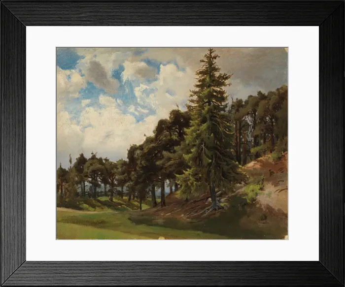 Framed Print : Wooded mountainside. Creator: Johan Knutson Framed Print : Wooded mountainside. Creator: Johan Knutson