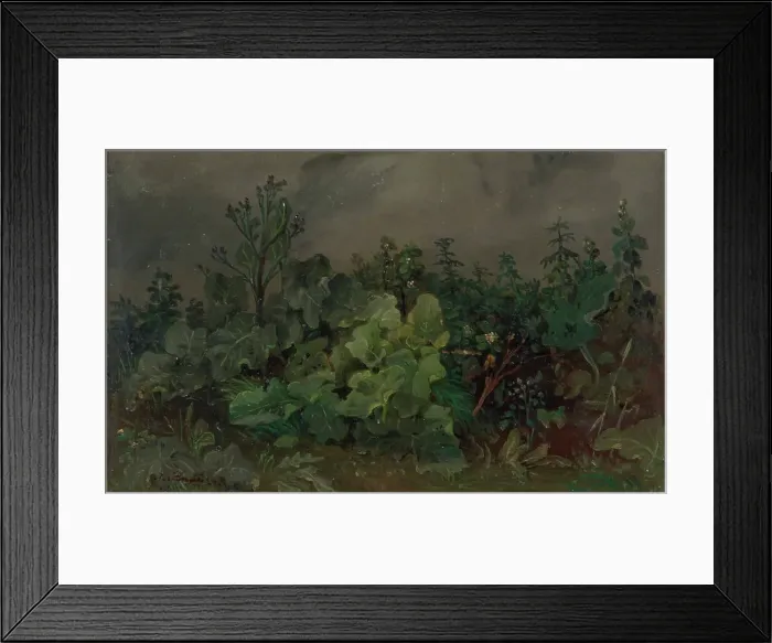 Framed Print : Leafs and Flowers. Creator: Johan Knutson Framed Print : Leafs and Flowers. Creator: Johan Knutson