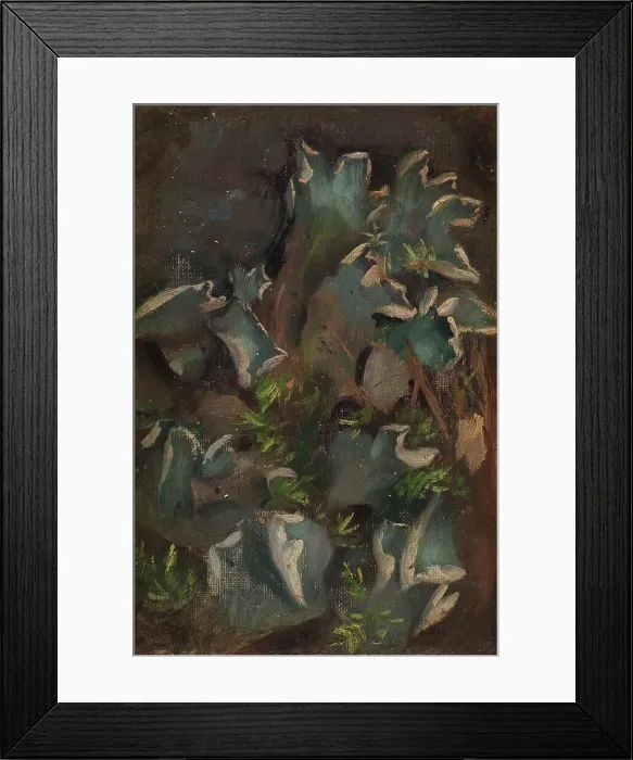 Framed Print : Lichen, sketch for the painting Fairy Tale Princess, c1895-1896. Creator: Torsten Wasastjerna Framed Print : Lichen, sketch for the painting Fairy Tale Princess, c1895-1896. Creator: Torsten Wasastjerna