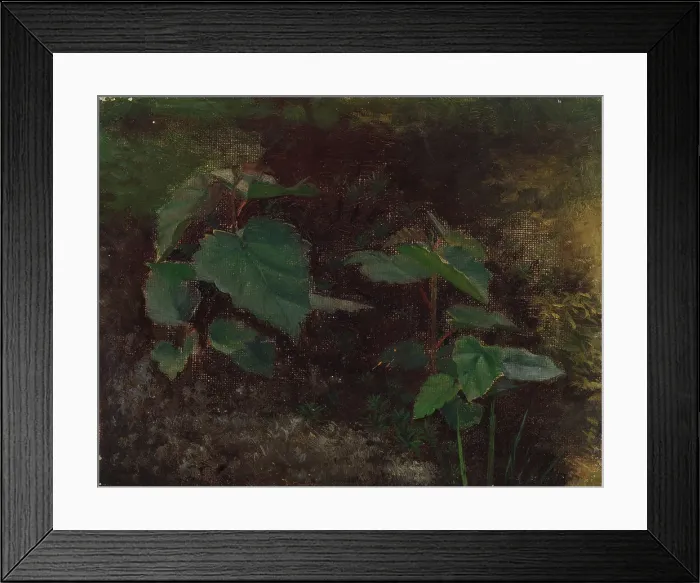 Framed Print : Tree Plants, sketch for the painting Fairy Tale Princess, c1895-1896. Creator: Torsten Wasastjerna Framed Print : Tree Plants, sketch for the painting Fairy Tale Princess, c1895-1896. Creator: Torsten Wasastjerna