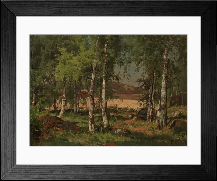 Framed Print : Landscape with Birch Grove and Rye Field, 1876. Creator: Hjalmar Munsterhjelm Framed Print : Landscape with Birch Grove and Rye Field, 1876. Creator: Hjalmar Munsterhjelm