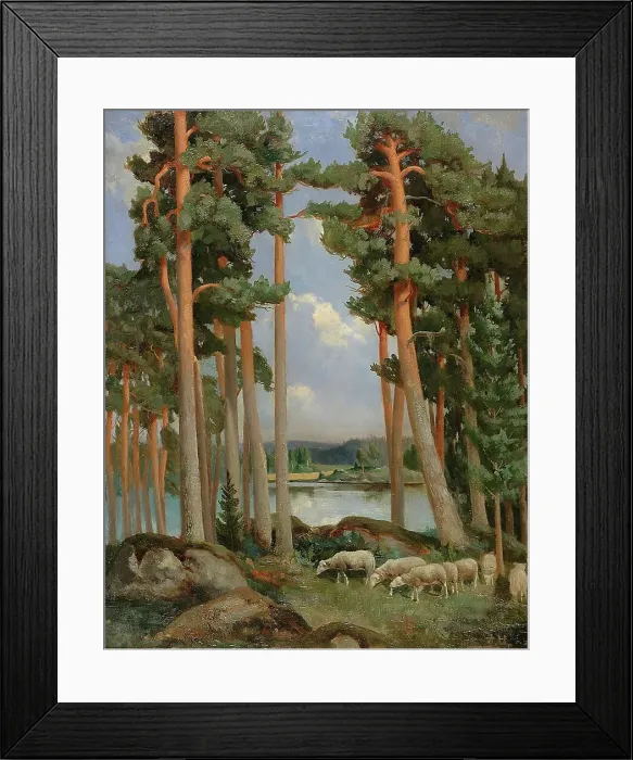 Framed Print : Sheep on the prowl. Creator: Aukusti Uotila Framed Print : Sheep on the prowl. Creator: Aukusti Uotila