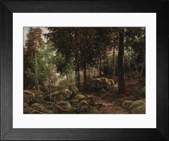 Framed Print : Forest Interior, 1882. Creator: Berndt Lindholm Framed Print : Forest Interior, 1882. Creator: Berndt Lindholm