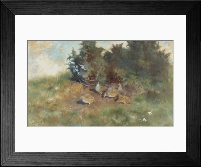 Framed Print : Partridges, 1922. Creator: Bruno Liljefors Framed Print : Partridges, 1922. Creator: Bruno Liljefors