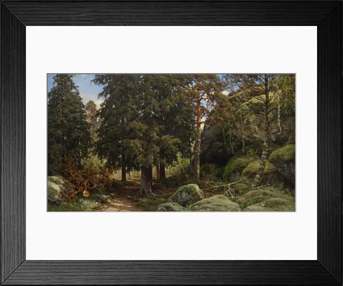 Framed Print : Forest Interior, 1878. Creator: Berndt Lindholm Framed Print : Forest Interior, 1878. Creator: Berndt Lindholm