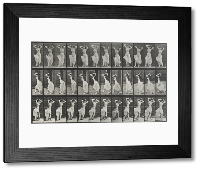 Framed Print : Animal Locomotion Plate 190, 1887. Creator: Muybridge, Eadweard (1830-1904) Framed Print : Animal Locomotion Plate 190, 1887. Creator: Muybridge, Eadweard (1830-1904)