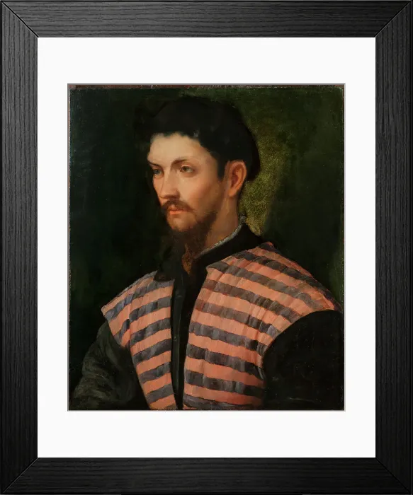 Framed Print : Portrait of a Gentleman, 1543-1544. Creator: Romanino, Gerolamo (1485 / 6-1566) Framed Print : Portrait of a Gentleman, 1543-1544. Creator: Romanino, Gerolamo (1485 / 6-1566)