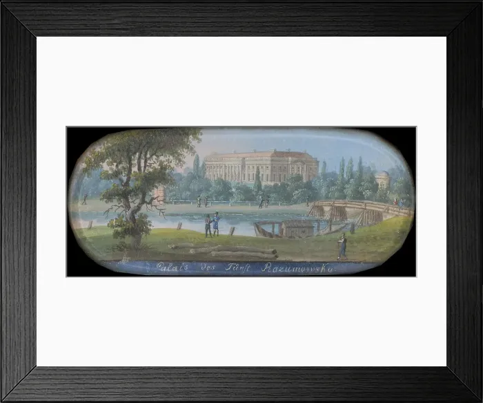Framed Print : The Palais Rasumofsky in Vienna. Creator: Wigand, Balthasar (1770-1846) Framed Print : The Palais Rasumofsky in Vienna. Creator: Wigand, Balthasar (1770-1846)