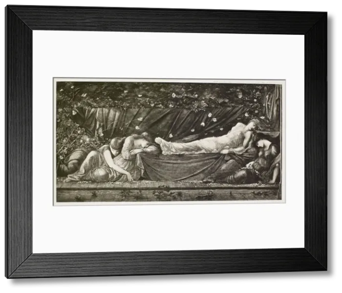 Framed Print : The Briar Rose Series - The Rose Bower / The Sleeping Beauty (III), c1870s, (1900). Creator: Unknown Framed Print : The Briar Rose Series - The Rose Bower / The Sleeping Beauty (III), c1870s, (1900). Creator: Unknown