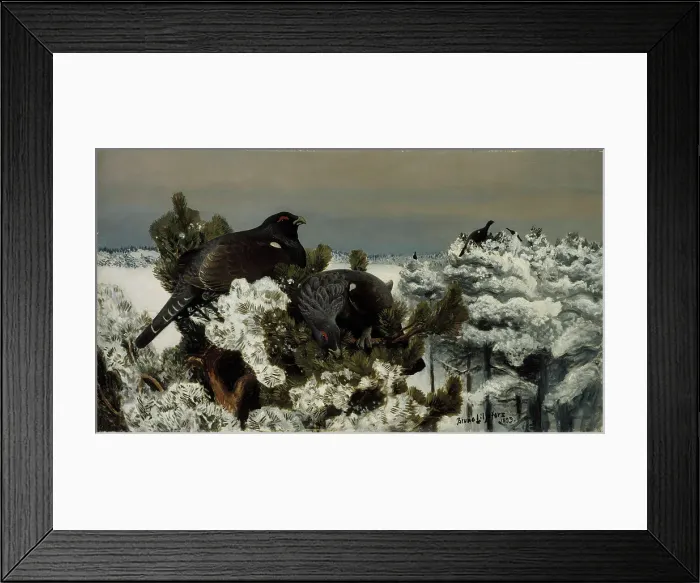 Framed Print : Capercaillies in a Winter Landscape, 1899. Creator: Bruno Liljefors Framed Print : Capercaillies in a Winter Landscape, 1899. Creator: Bruno Liljefors
