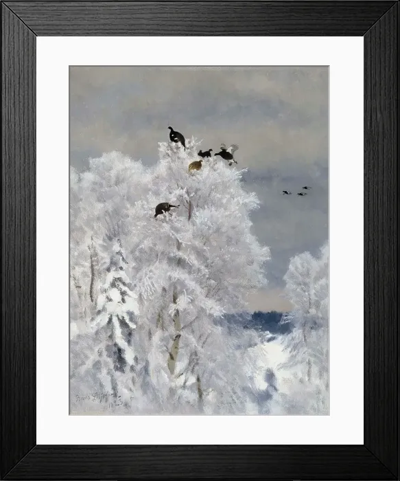 Framed Print : Black Grouse in a Treetop, 1923. Creator: Bruno Liljefors Framed Print : Black Grouse in a Treetop, 1923. Creator: Bruno Liljefors