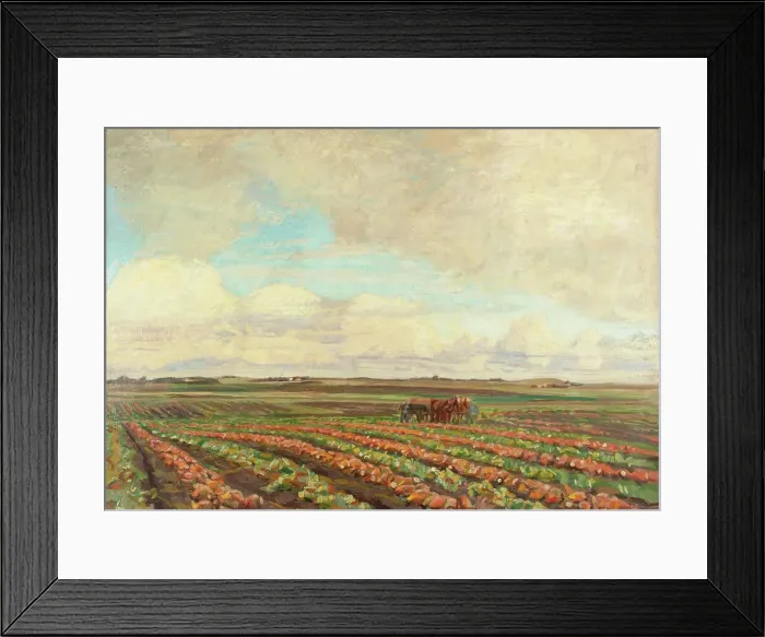 Framed Print : Harvest of Turnips, 1925-1927. Creator: Fritz Syberg Framed Print : Harvest of Turnips, 1925-1927. Creator: Fritz Syberg