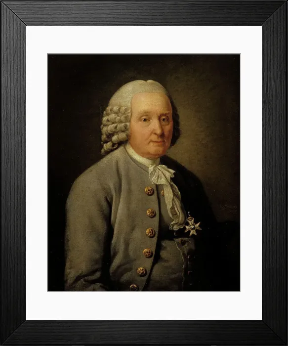 Framed Print : Mayor Jonas Robeck, 1777. Creator: Jonas Hoffman Framed Print : Mayor Jonas Robeck, 1777. Creator: Jonas Hoffman