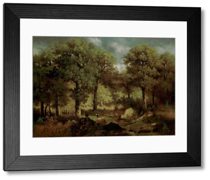 Framed Print : Forest Interior at Fontainebleau; Inside the Forest from Fontainebleau, 1855. Creator: Narcisse Virgile Diaz de la Pena Framed Print : Forest Interior at Fontainebleau; Inside the Forest from Fontainebleau, 1855. Creator: Narcisse Virgile Diaz de la Pena