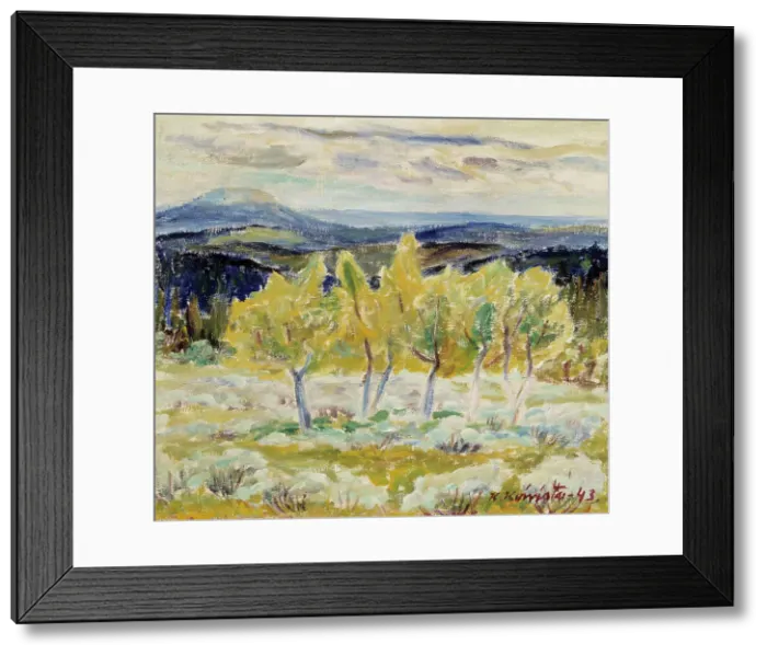 Framed Print : Lapland Mountain Birches, 1943. Creator: Kullervo Koivisto Framed Print : Lapland Mountain Birches, 1943. Creator: Kullervo Koivisto