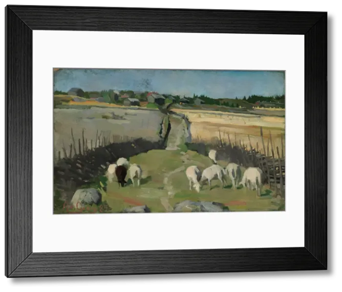 Framed Print : Landscape with Sheep, 1884. Creator: Akseli Gallen-Kallela Framed Print : Landscape with Sheep, 1884. Creator: Akseli Gallen-Kallela