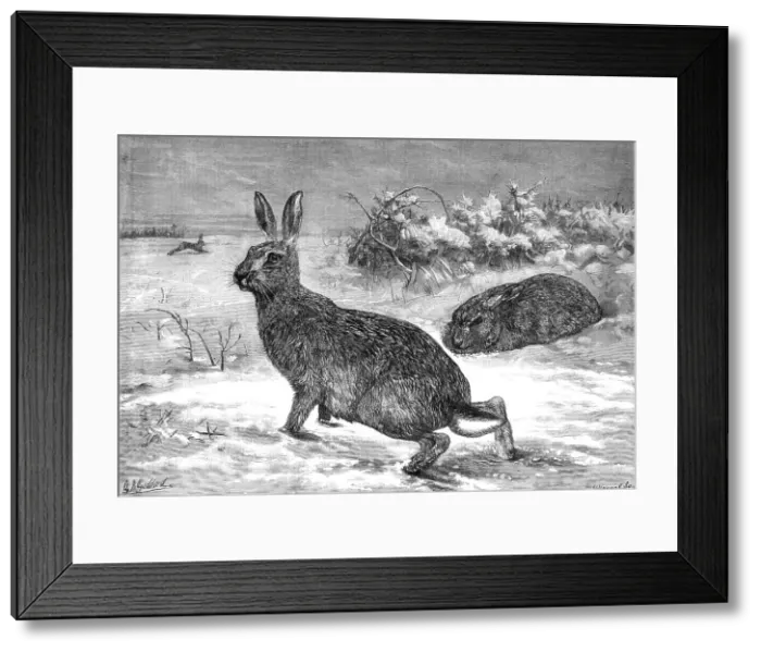 Framed Print : The months: February, 1871. Creator: Horace Harral Framed Print : The months: February, 1871. Creator: Horace Harral