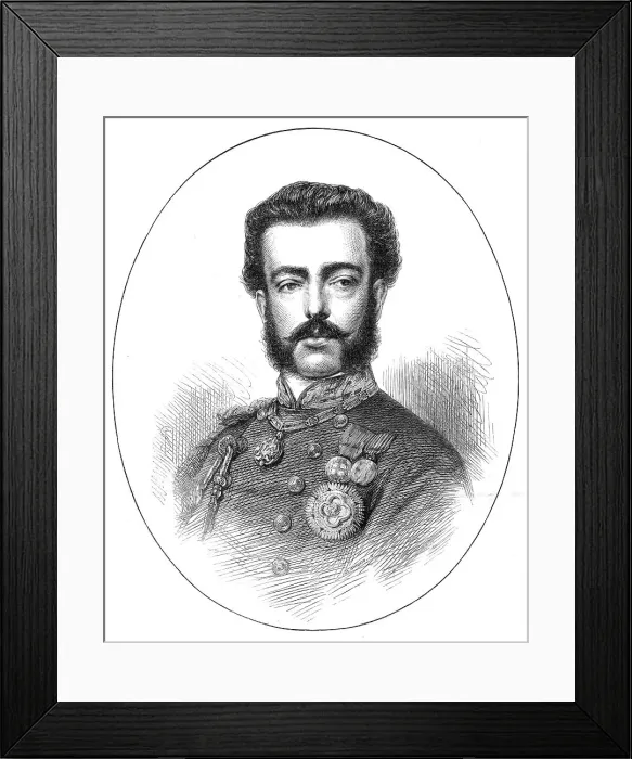 Framed Print : The King Elect of Spain, 1871. Creator: Unknown Framed Print : The King Elect of Spain, 1871. Creator: Unknown
