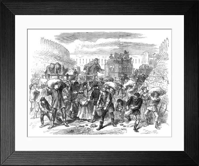 Framed Print : Pillaging the first vegetable carts at the gates of Paris, 1871. Creator: Unknown Framed Print : Pillaging the first vegetable carts at the gates of Paris, 1871. Creator: Unknown