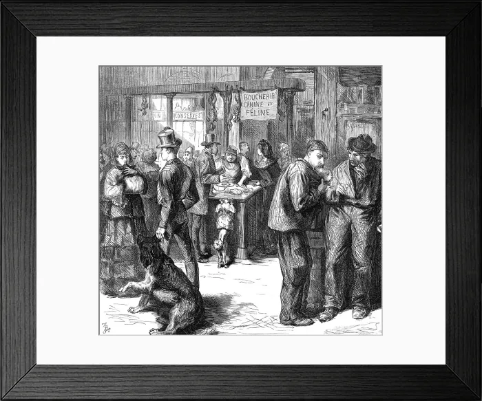 Framed Print : The market for dogs and cats flesh, Paris, (sketch by balloon post), 1871. Creator: Unknown Framed Print : The market for dogs and cats flesh, Paris, (sketch by balloon post), 1871. Creator: Unknown