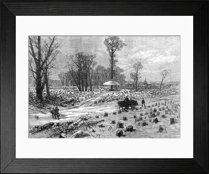 Framed Print : The Bois de Boulogne, Paris, (sketch by balloon post), 1871. Creator: Unknown Framed Print : The Bois de Boulogne, Paris, (sketch by balloon post), 1871. Creator: Unknown