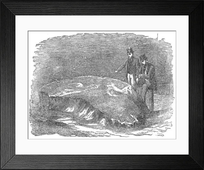 Framed Print : Roman pavement found in Mark-Lane, 1871. Creator: Unknown