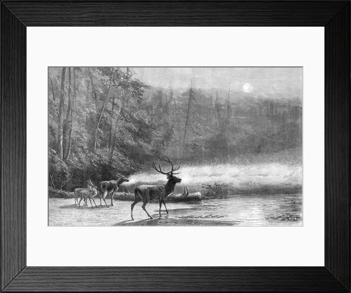 Framed Print : Lake Scene - Early Morning, by Mr. Wust, 1871. Creator: William Hollidge Framed Print : Lake Scene - Early Morning, by Mr. Wust, 1871. Creator: William Hollidge