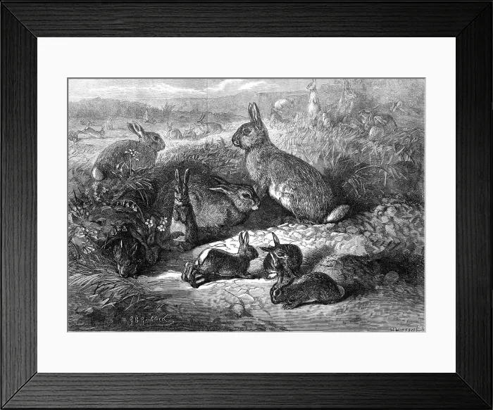Framed Print : The months: May, 1871. Creator: Horace Harral Framed Print : The months: May, 1871. Creator: Horace Harral