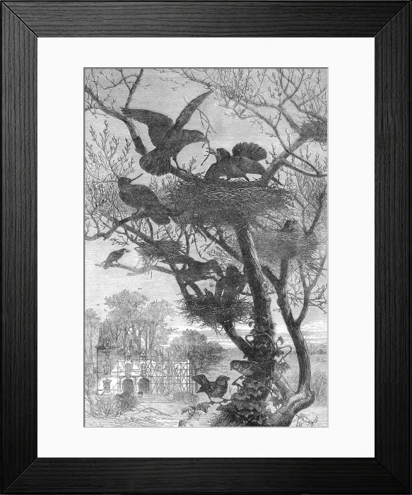 Framed Print : Rebuilding, 1871. Creator: Pearson Framed Print : Rebuilding, 1871. Creator: Pearson