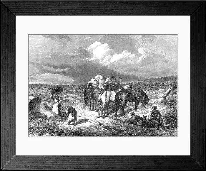 Framed Print : A Timber Clearing in the New Forest, 1871. Creator: Unknown Framed Print : A Timber Clearing in the New Forest, 1871. Creator: Unknown