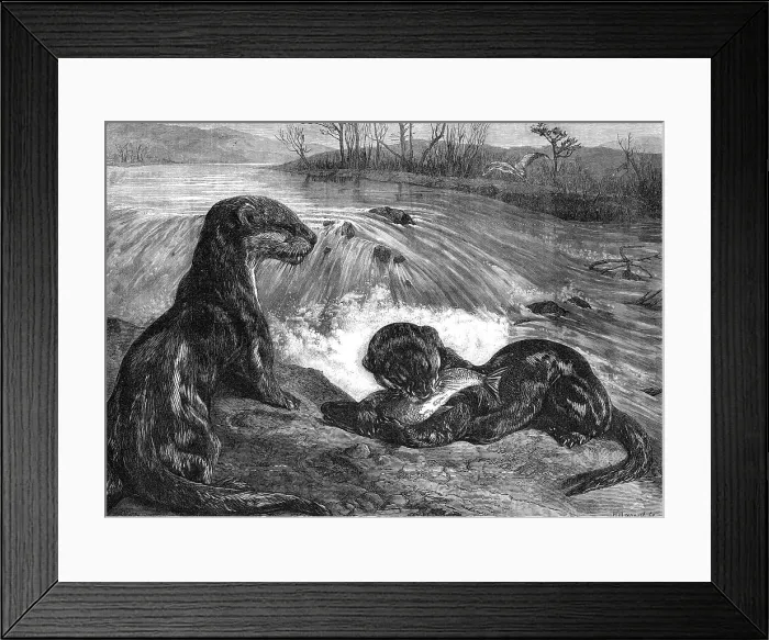 Framed Print : The months: March, 1871. Creator: Horace Harral Framed Print : The months: March, 1871. Creator: Horace Harral