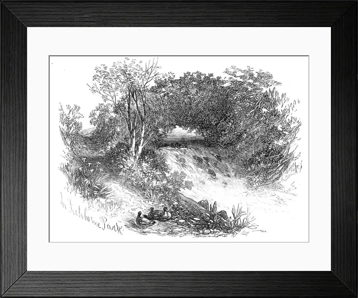 Framed Print : Waterfall in Tichborne Park, Alresford, Hants. 1871. Creator: Unknown Framed Print : Waterfall in Tichborne Park, Alresford, Hants. 1871. Creator: Unknown