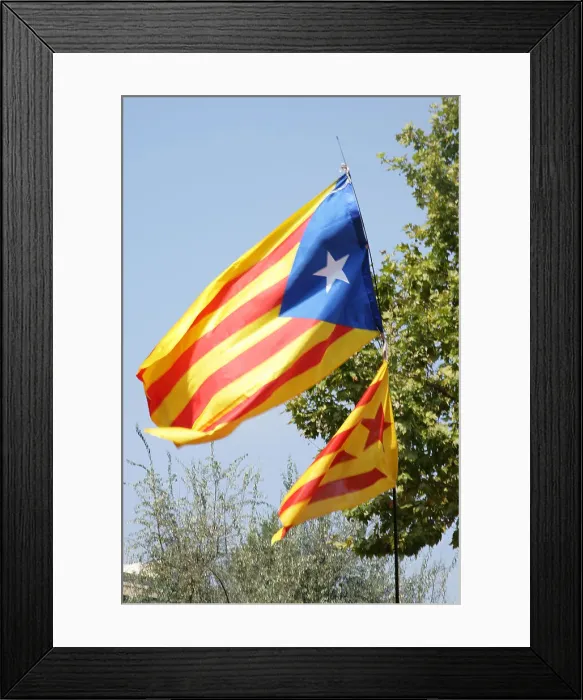 Framed Print : Starred flag (Estelada), National Day of Catalonia, Barcelona, 11-09-2014. Creator: LTL Framed Print : Starred flag (Estelada), National Day of Catalonia, Barcelona, 11-09-2014. Creator: LTL