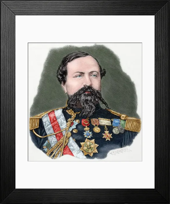 Framed Print : Edmond Le Boeuf (1809-1888), Marshal of France, 1885. Creator: Unknown Framed Print : Edmond Le Boeuf (1809-1888), Marshal of France, 1885. Creator: Unknown