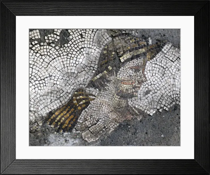 Framed Print : Head of a young rustic...mosaic pavement in the Great Palace of Constantinople, 4th-6th century. Creator: Unknown Framed Print : Head of a young rustic...mosaic pavement in the Great Palace of Constantinople, 4th-6th century. Creator: Unknown