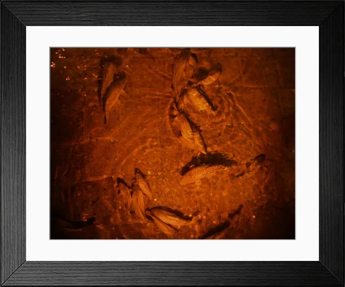 Framed Print : Basilica Cistern, Istanbul, Turkey, 2013. Creator: LTL Framed Print : Basilica Cistern, Istanbul, Turkey, 2013. Creator: LTL