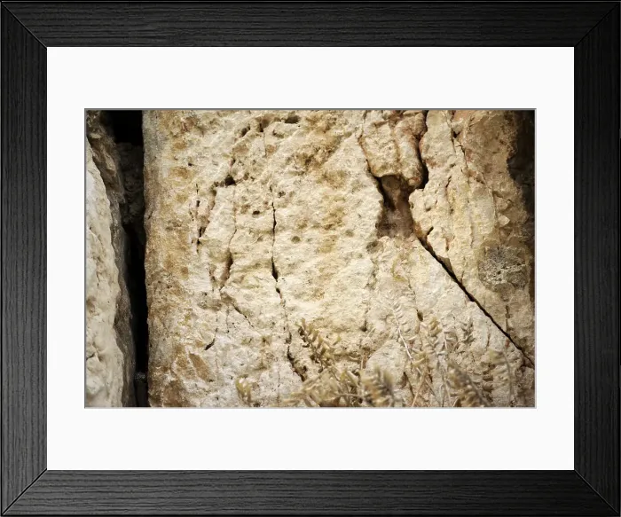 Framed Print : Detail of Western Wall, Jerusalem, Israel, 2013. Creator: LTL Framed Print : Detail of Western Wall, Jerusalem, Israel, 2013. Creator: LTL
