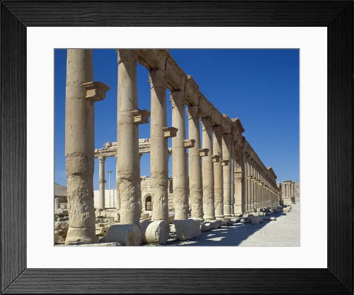 Framed Print : Colonnade, ruins of Palmyra, Syria, 3rd century, (2001). Creator: LTL Framed Print : Colonnade, ruins of Palmyra, Syria, 3rd century, (2001). Creator: LTL