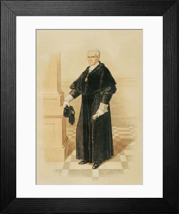 Framed Print : President of the Council of Public Instruction, 1865. Creator: Unknown Framed Print : President of the Council of Public Instruction, 1865. Creator: Unknown