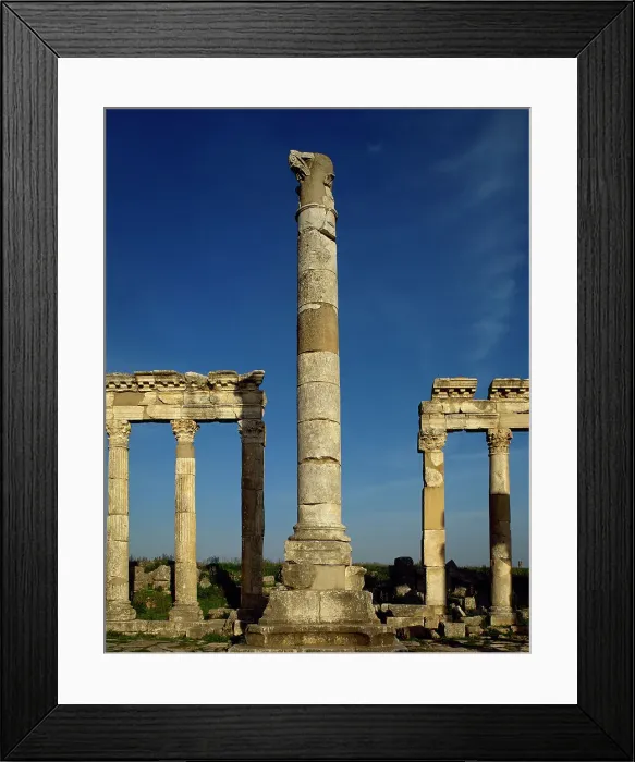 Framed Print : Monumental column and colonnade, Apamea, Syria, 2002. Creator: LTL Framed Print : Monumental column and colonnade, Apamea, Syria, 2002. Creator: LTL