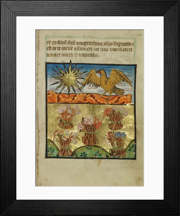 Framed Print : Five Bunches of Flowers, about 1190-1200; text added about 1480-1490. Creator: Unknown Framed Print : Five Bunches of Flowers, about 1190-1200; text added about 1480-1490. Creator: Unknown