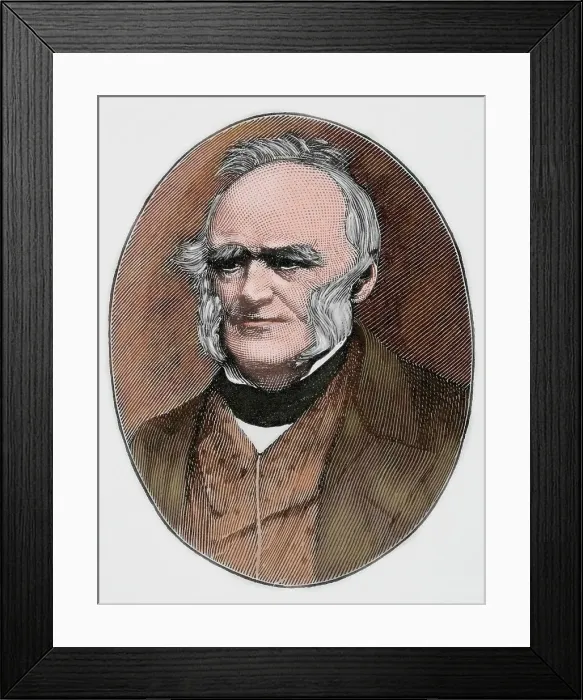 Framed Print : Charles Lyell, British lawyer and geologist, 19th century. Creator: Unknown Framed Print : Charles Lyell, British lawyer and geologist, 19th century. Creator: Unknown